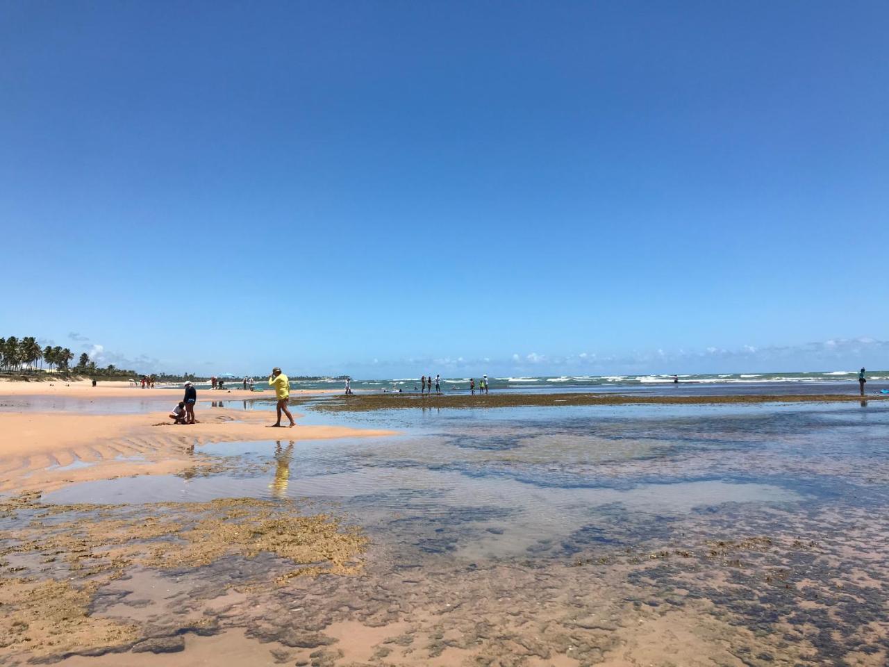 Flat Guarajuba Beira Da Praia Pe Na Areia Eksteriør billede